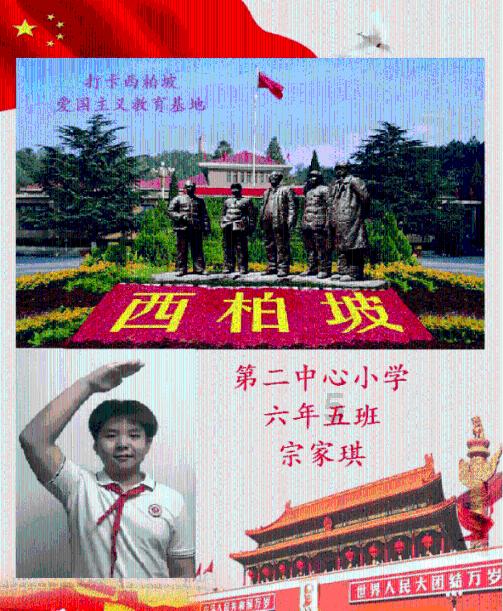 救援萌老虎