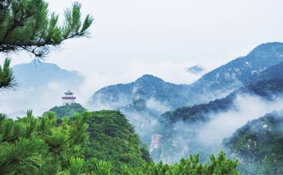 佛山奇派一族:精湛工艺与高雅品味